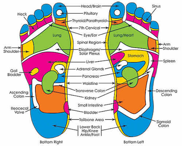 foot reflexology