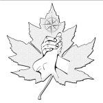 True North Feet Reflexology